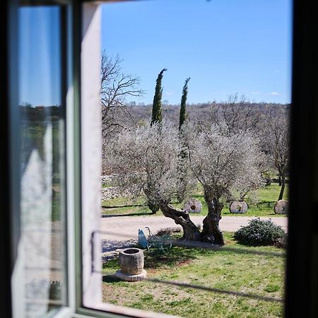Winery Cuj Bed & Breakfast Vilanija Exteriér fotografie