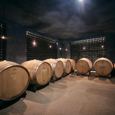Winery Cuj Bed & Breakfast Vilanija Exteriér fotografie