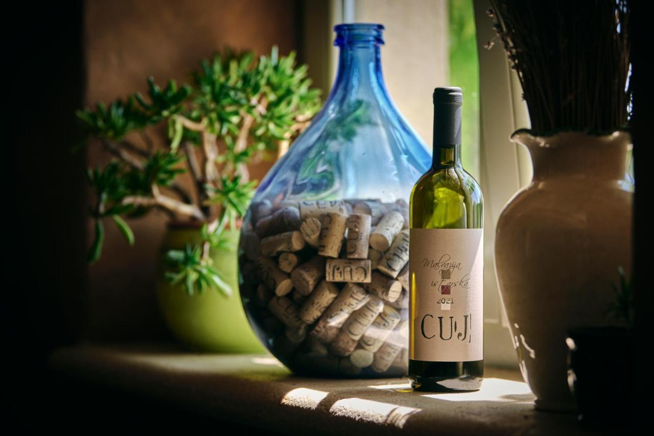 Winery Cuj Bed & Breakfast Vilanija Exteriér fotografie